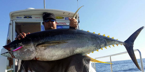 カーペンター BLC84/22 ブルーチェイサー