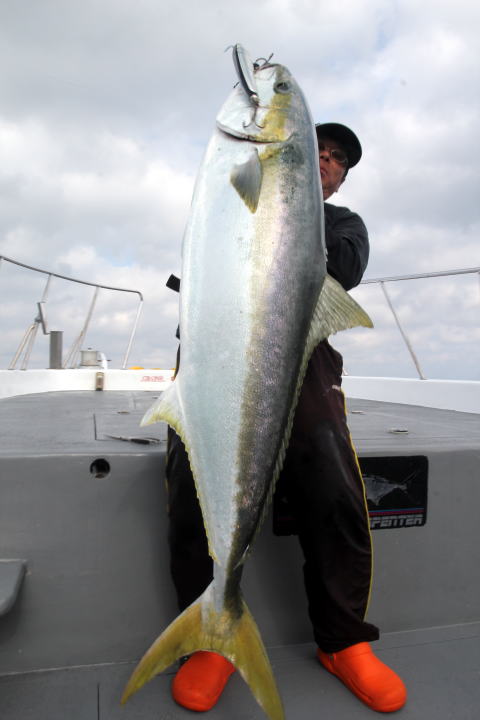 カーペンター BLC80／40 R－PM SC ブルーチェイサー