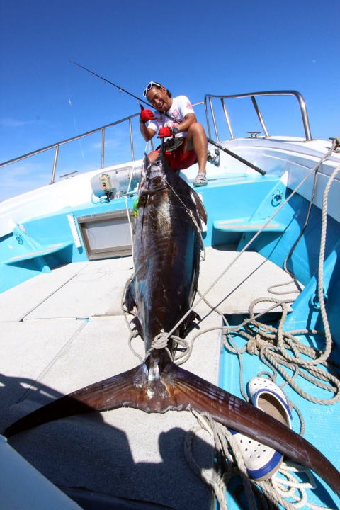 カーペンター BLC83／40 R－PM ブルーチェイサー