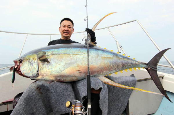 カーペンター BLC83／16 ブルーチェイサー