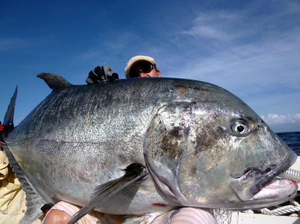 カーペンター BLC83／40 R－PM ブルーチェイサー