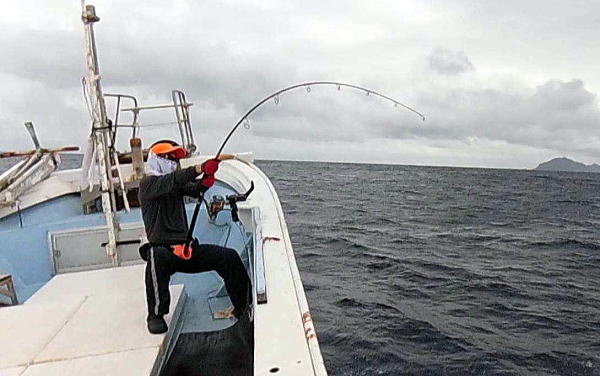 カーペンター SLP80／33 シーレパード