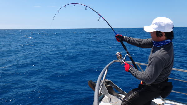 BMB ブラック マンバ