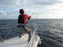 コーラル バイパー CV GTロッド