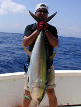 γ ブルーフィッシュ GT ロッド マグロ ヒラマサ