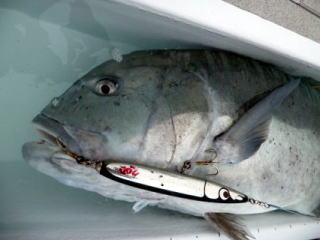 ゼウス GTルアー