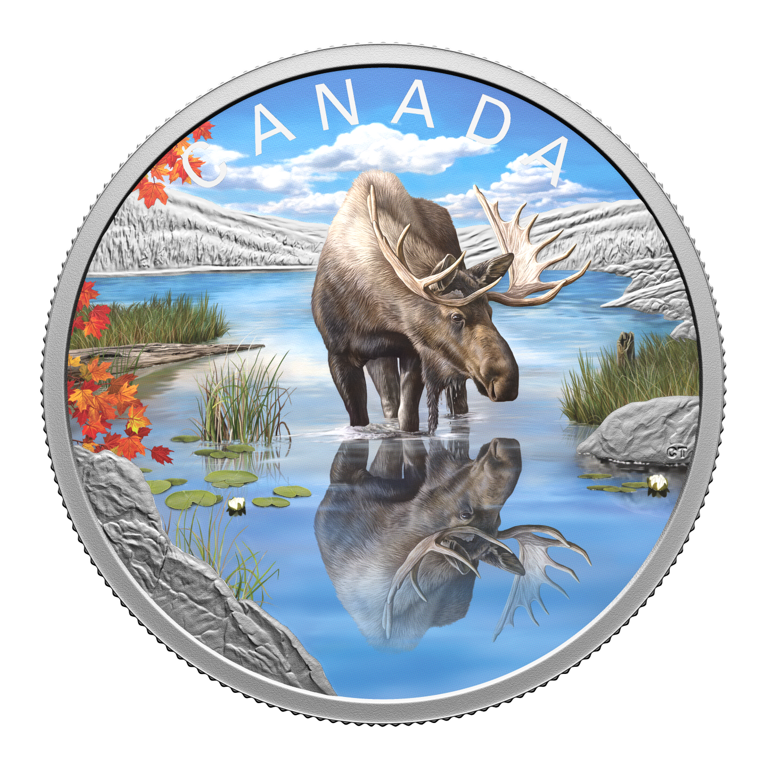 2024 Canada $20 Wildlife Reflections: Moose Fine Silver (No Tax