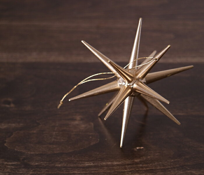 金の星（大）】ERZ ドイツ アルビンプライスラー 【正規輸入品