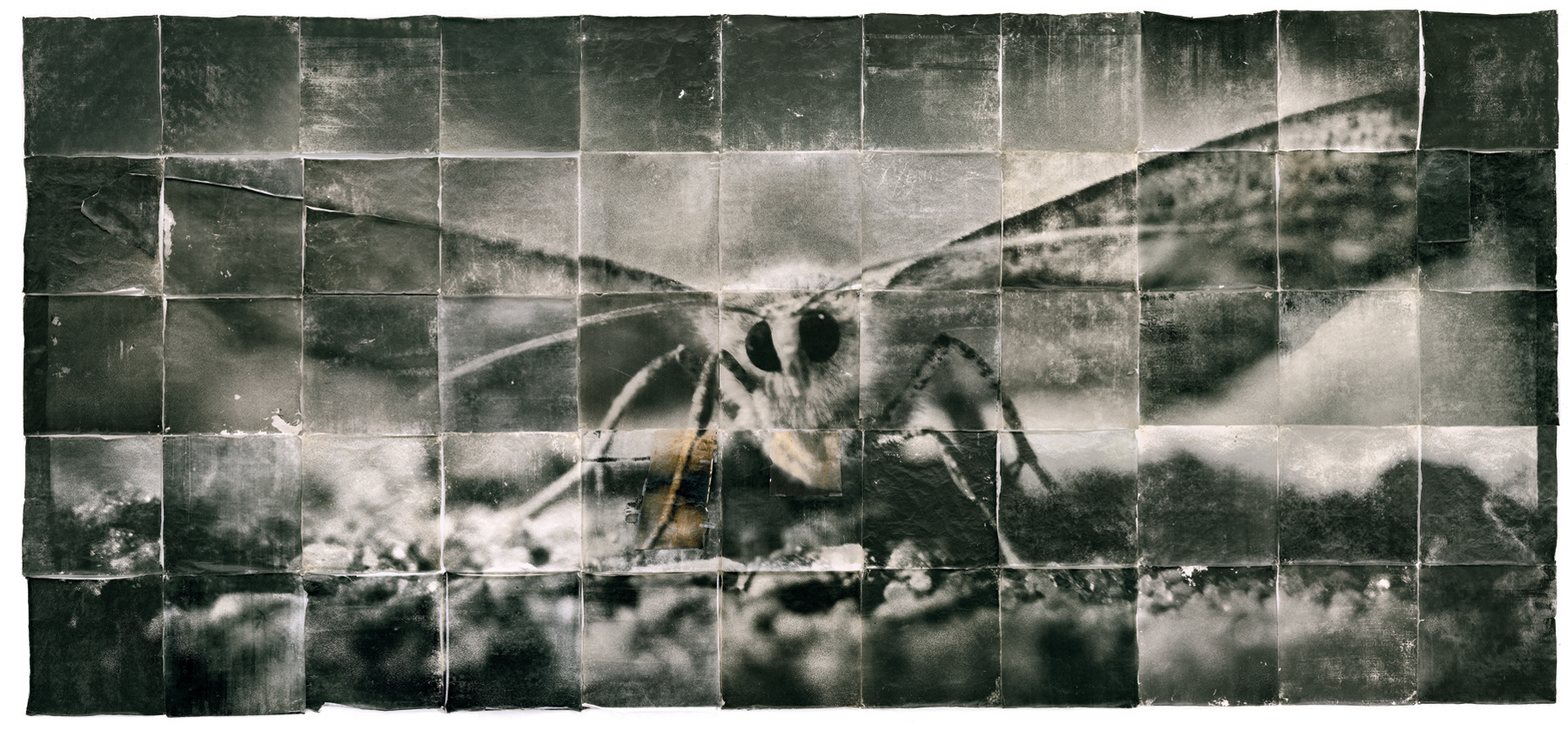 Doug Starn and Mike Starn