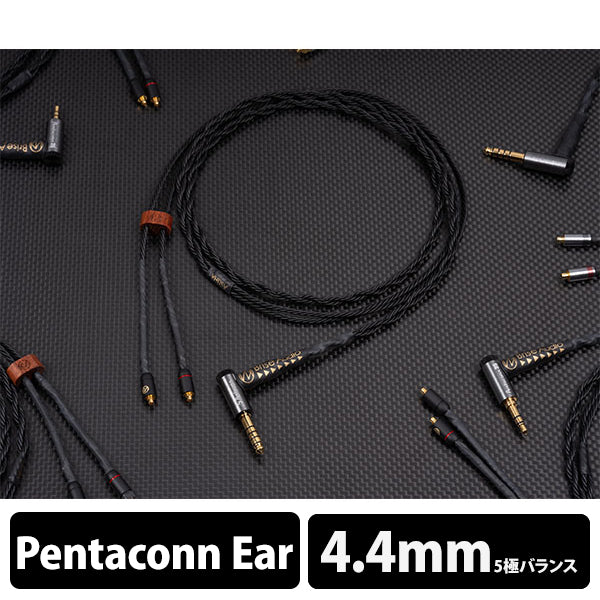 Brise Audio ASUHA Ref.2 5極Φ4.4mmプラグ-Pentaconn Ear (OFC