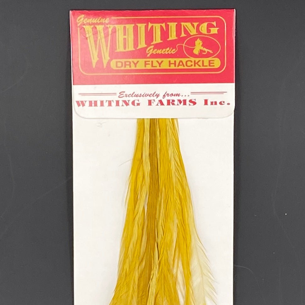 Whiting 100 Pack Dry Fly Hackle - White dyed Golden Olive - 12