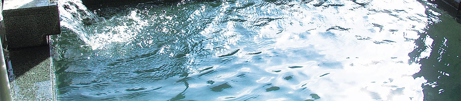 温泉について | 【公式サイト】滋賀・高島 マキノ白谷温泉 八王子荘