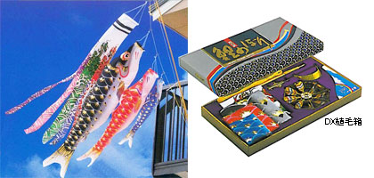 旭錦鯉 / 鯉幟（こいのぼり）販売 HAPPY BABY