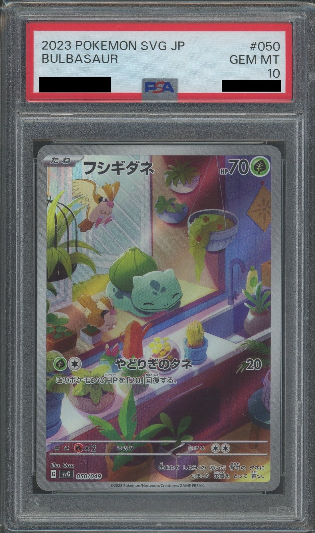 PSA10】フシギダネ(D){草}〈050/049〉[SVG] – 晴れる屋2