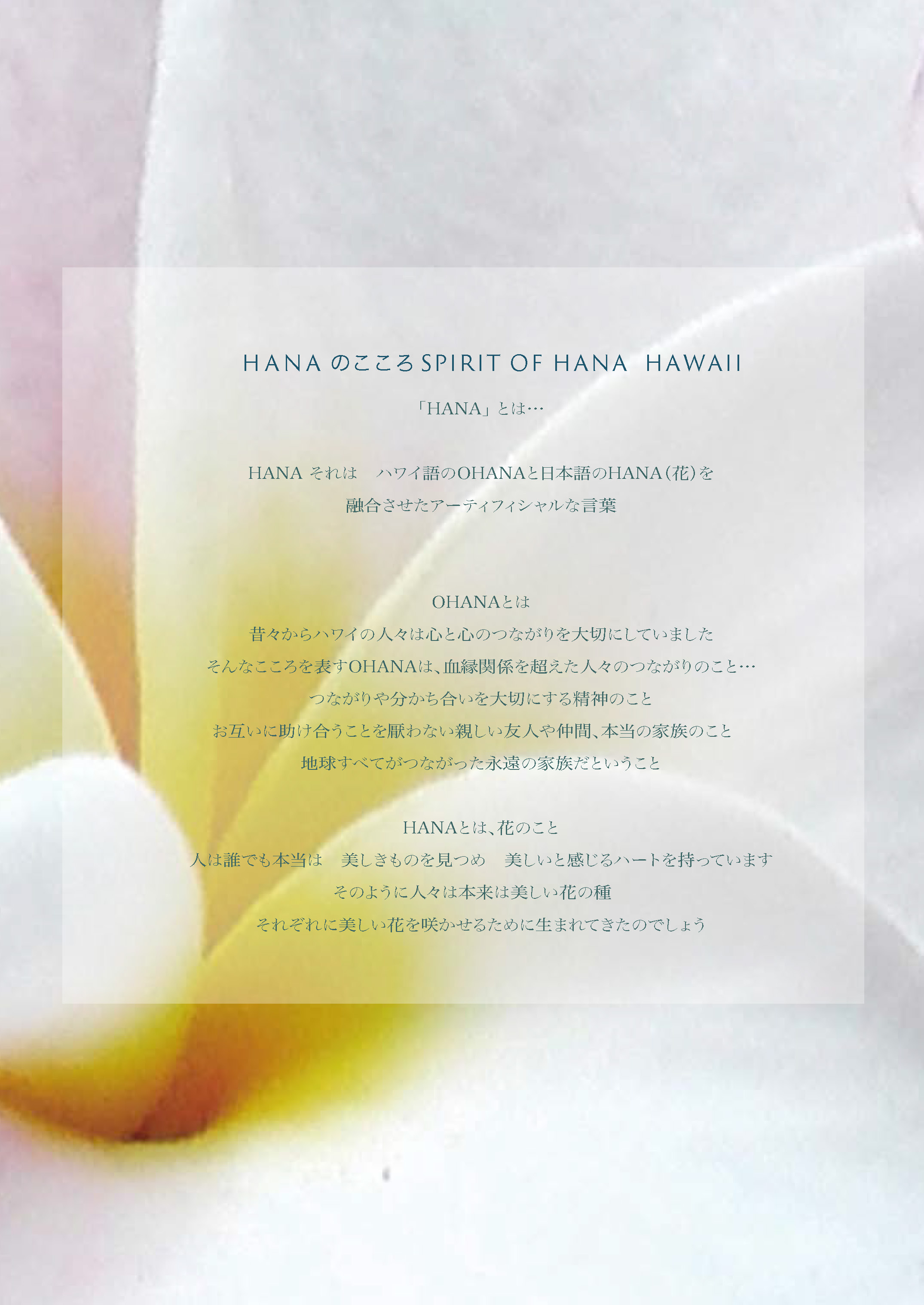 カタログダウンロード - 株式会社ヒーリング