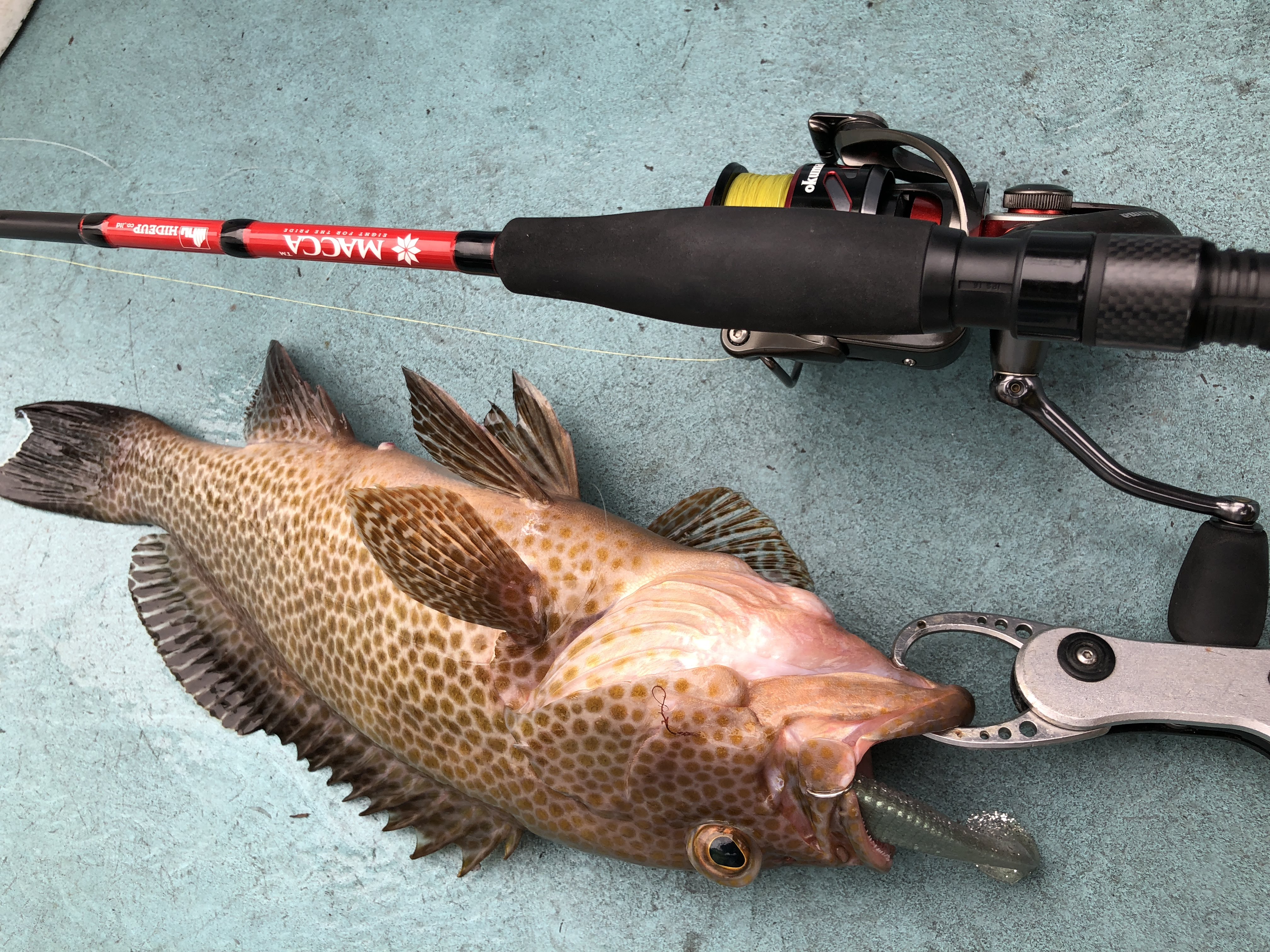 赤マッカHUMRS-72ML-2インプレ！ソルトに一本だけもっていくなら絶対