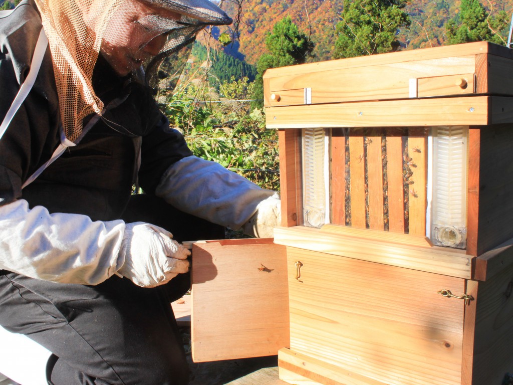 最新養蜂機器導入！ろあんの養蜂場に日本初のフローハイブがやってき
