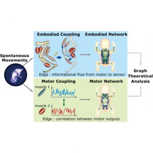 感覚・運動の発達モデル – ISI Laboratory