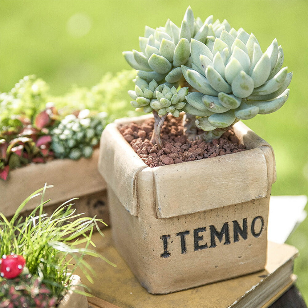 IwaiLoft 植木鉢 多肉植物鉢 サボテン鉢 フラワーポット プランター