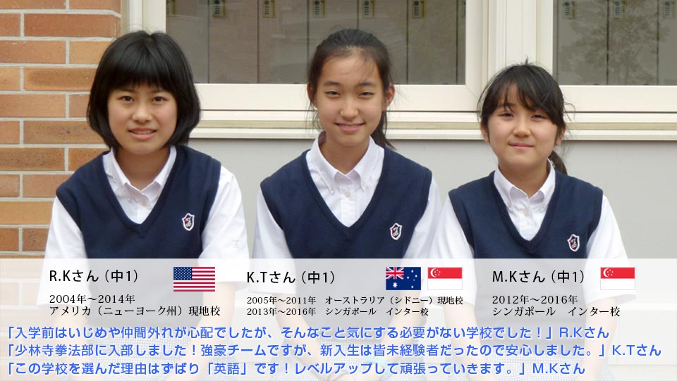 ぷ*き様 レナウン製　濃紺　新品　ブルマ　３Ｌサイズ　富士見丘中学・高校　プリン プリン :: ふくぷん プレミアムセット 6個入り｜贅沢な天津甘栗