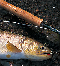 KIRO World -FLY FISHING-