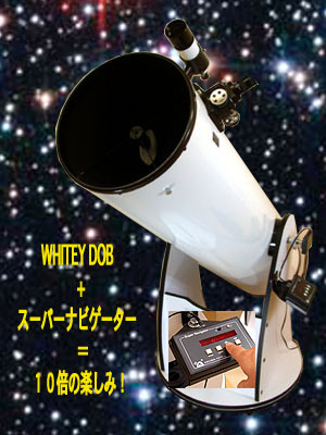 WHITEY DOB 25cmファイナル・キャンペーン