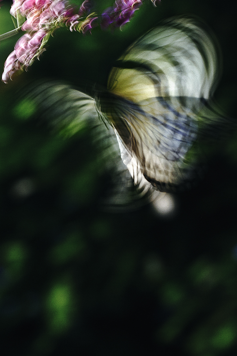 match and company, inc.