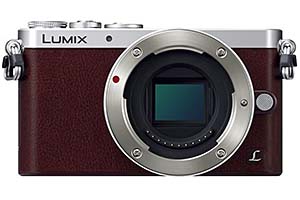 パナソニック Panasonic LUMIX DMC-GM1S ブラッシュアップされた