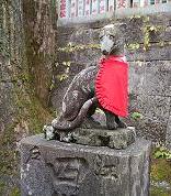 シンボル展「オオカミがいた山」調査日誌： 山梨県立博物館 -Yamanashi