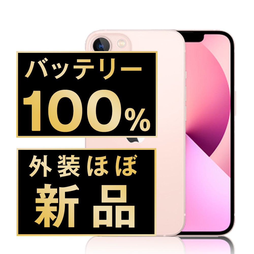 バッテリー最大容量100% ipad mini pink 256gb 【公式通販】