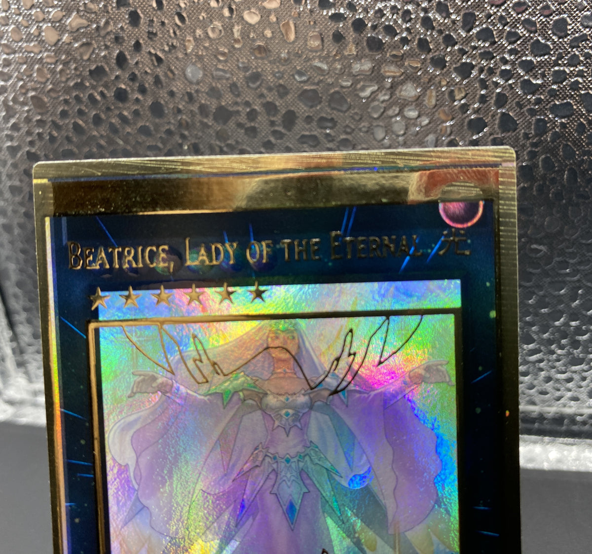 遊戯王 エラーカード 永遠の淑女 ベアトリーチェ EU版 英語 – トレカ屋