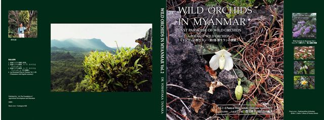 ミャンマーの野生ラン Wild Orchids in Myanmar Dr. Yoshitaka Tanaka
