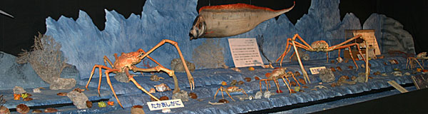 駿河湾深海生物館