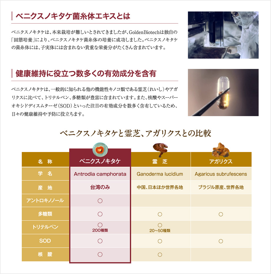 商品一覧｜株式会社ペアレント