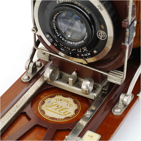 正真正銘のレアカメラ、トロピカル・リリー | 今月のひとこと