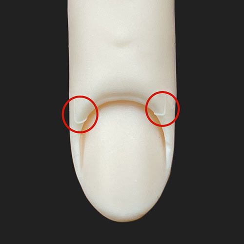 rednails web channel / STモデルハンド セット(JNEC 第1期認定モデル