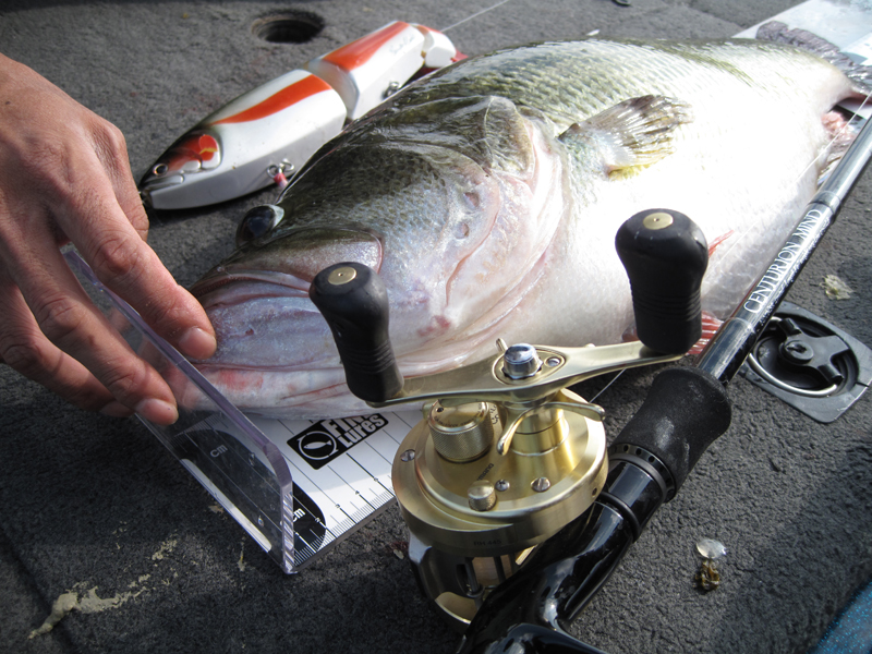 MOTHER triple - RomanMade【ロマンメイド】