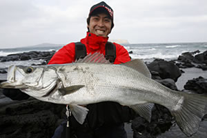 APIA SPARTAS '08風神号 バッカニア120M