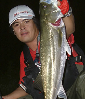 APIA SPARTAS '08風神号 ナイトホーク91ML