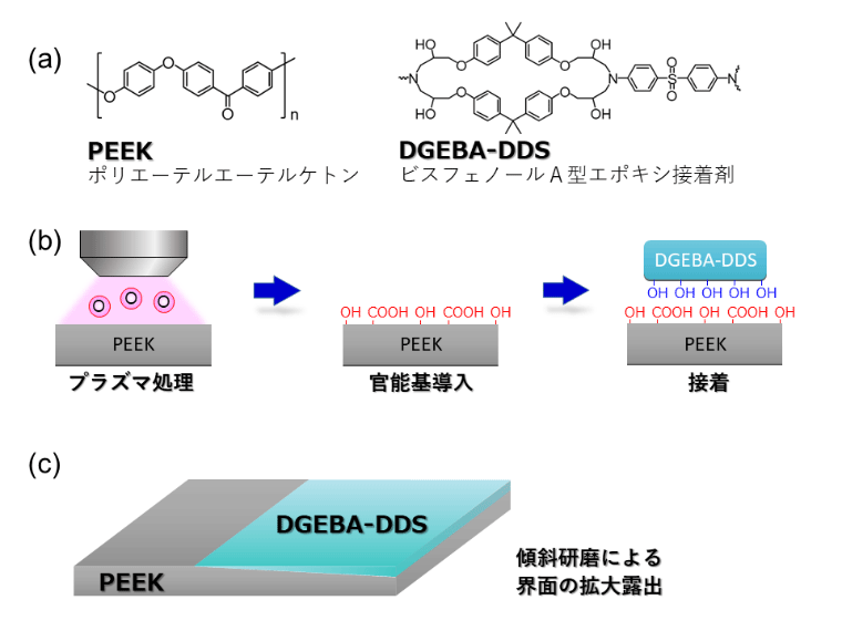 軟X線顕微分光法による接着因子の可視化に成功 －接着界面の学理構築