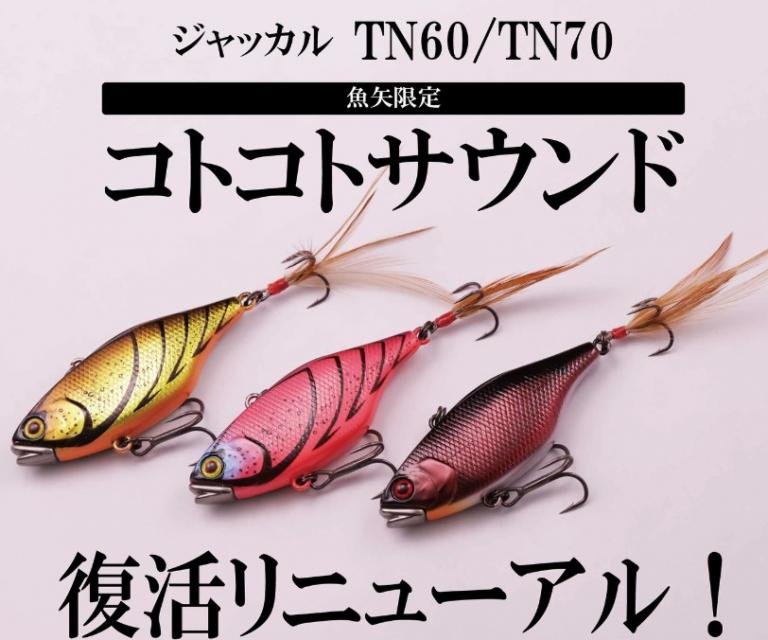 LURE SHOP SUBMARINE / ジャッカル TN60 / 70 魚矢限定コトコトサウンド