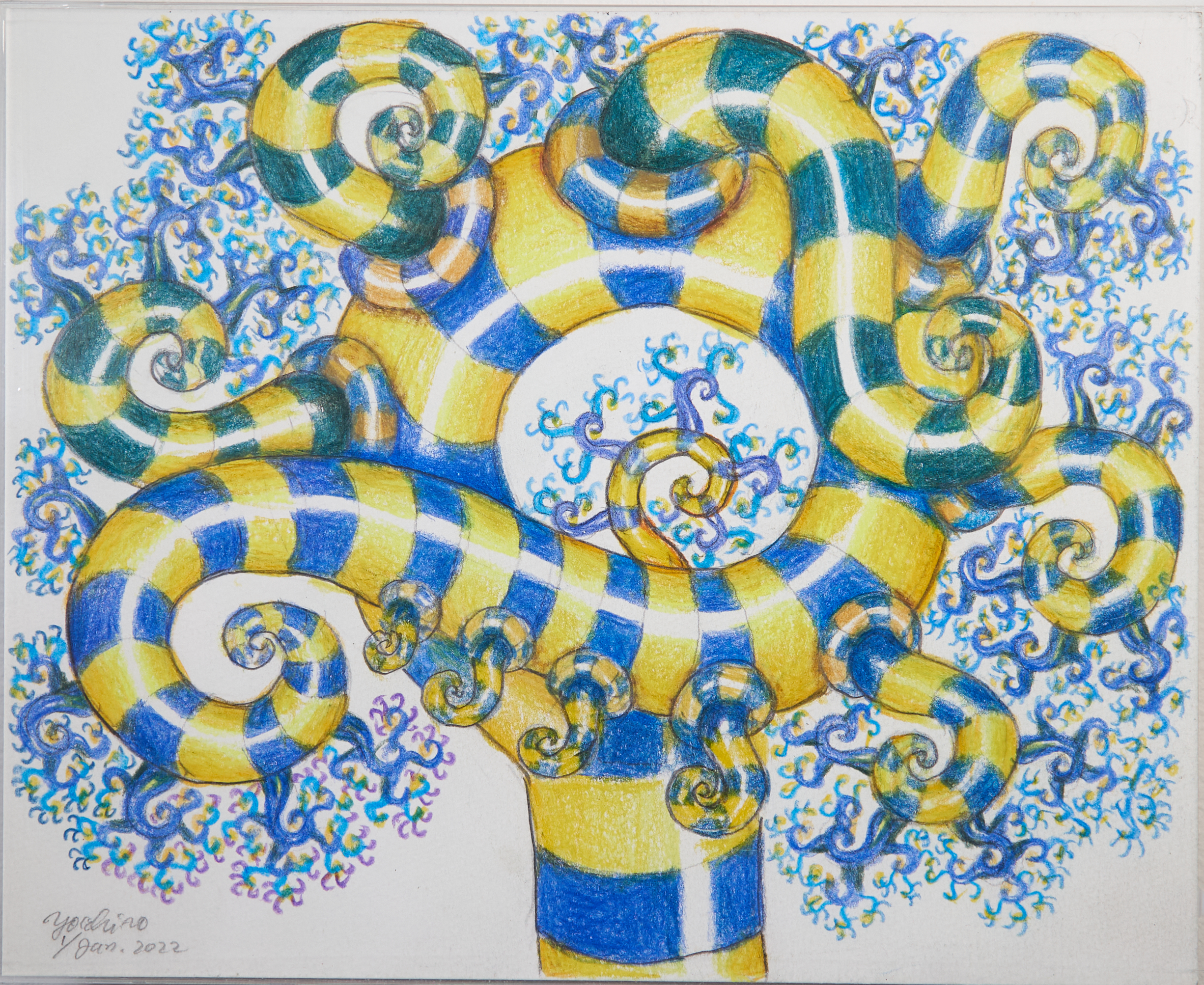 河口洋一郎｜Yoichiro KAWAGUCHI – Wada Fine Arts