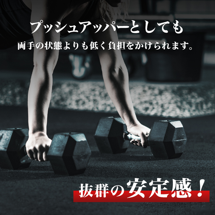 6角形プレート ダンベル セット 30kg (単品)(2個セット)(送料無料