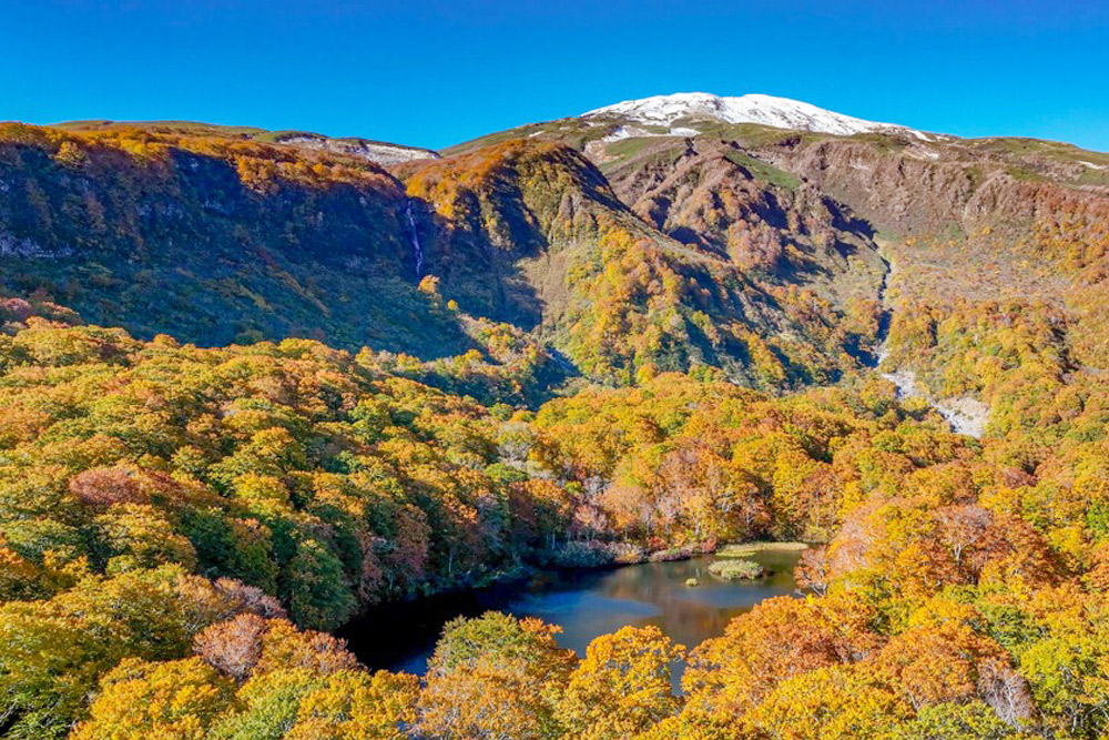 錦の原生林を映す「鶴間池」 | 山形会議