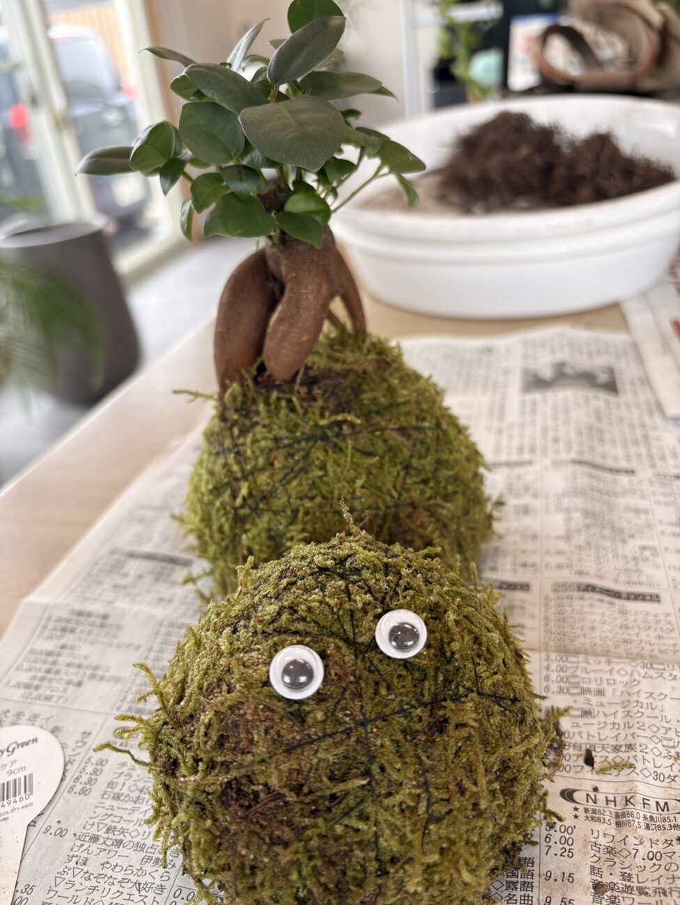 苔玉つくりワークショップを開催しました | 新着情報 | 5yukuri by 雅楽庭