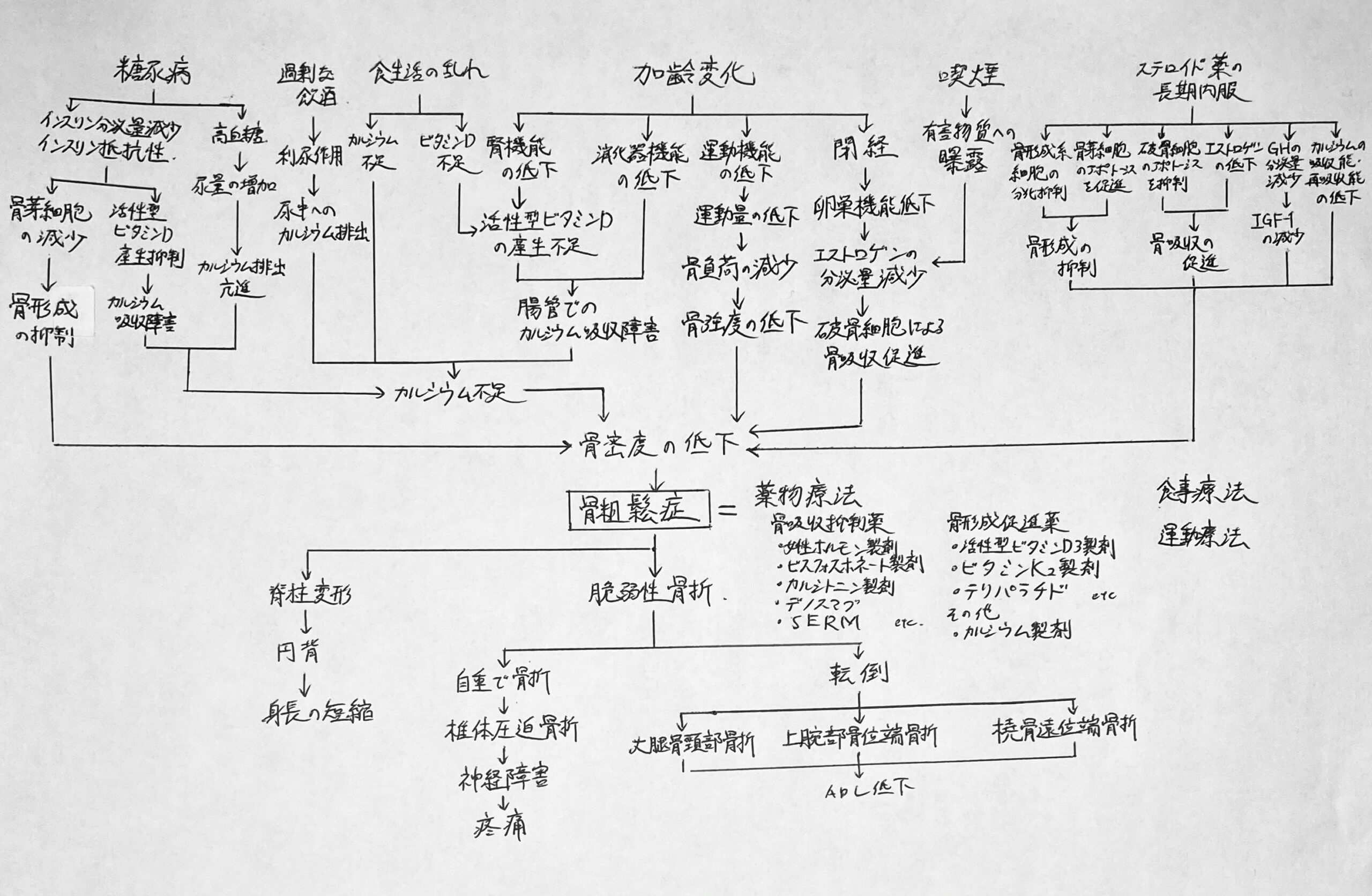 看護学生】関連図が書けるようになるための方法〜関連図が苦手な人向け