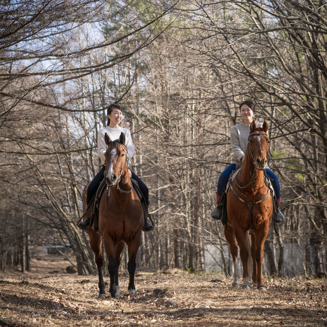 馬と触れ合い自然を楽しむ「ほくと馬のまち祭り2024〜信玄棒道ウォーク