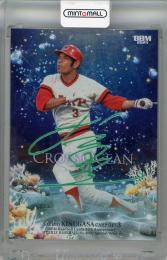 ミントモール / 検索結果 広島 カープ