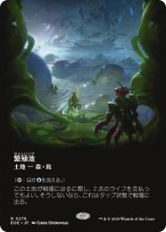 ミントモール / MINT GAMES MTG(東日本橋) / 【RVR】【JPN】【Foil