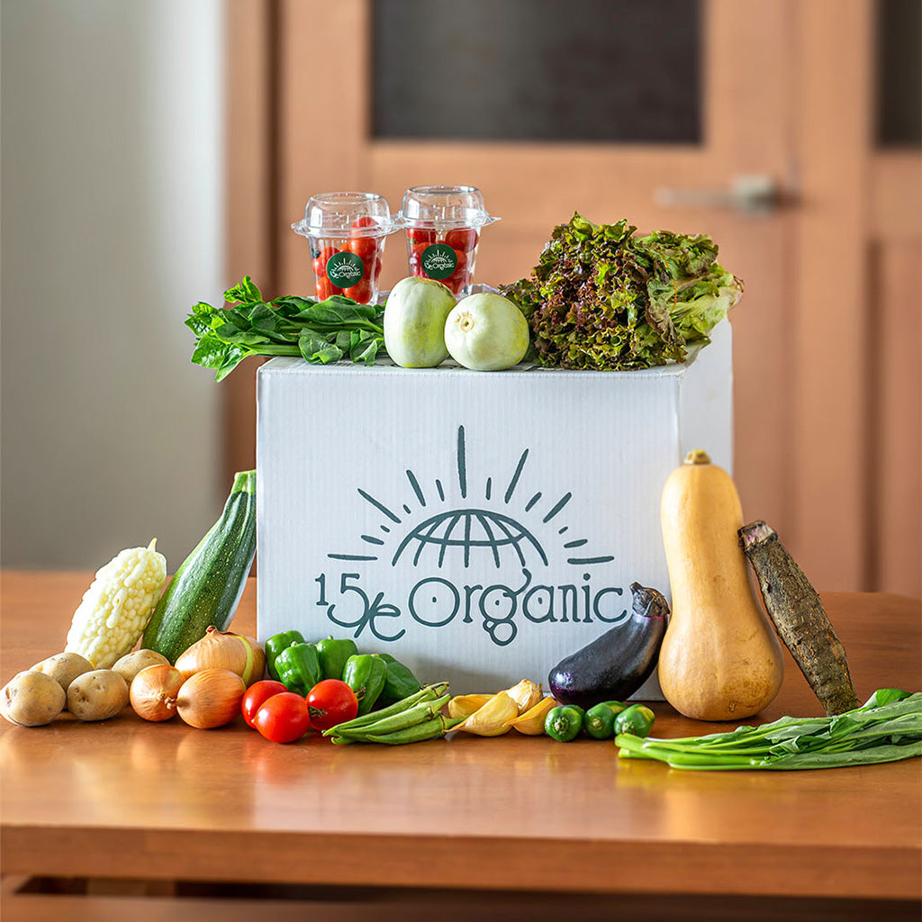 15/e organic | 季節のお野菜セット！（L/M）
